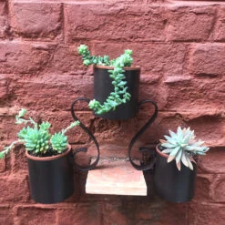 2 Tier Hanging Pot Stand -Plant Life Decor Shop 1.5 kg 16x12x4 Rs 900 7