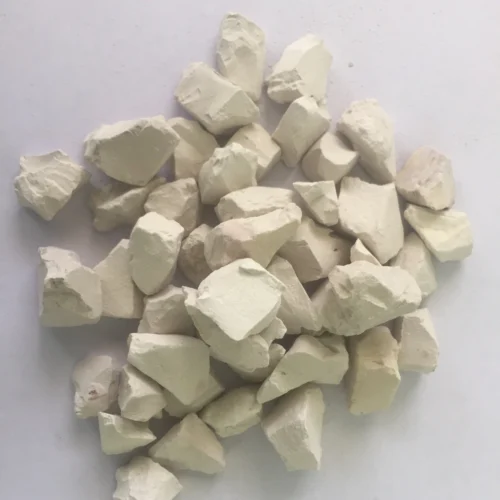 Diatomite Rocks 6 Diatomite Rocks -Plant Life Decor Shop 10 15 mm diatomite