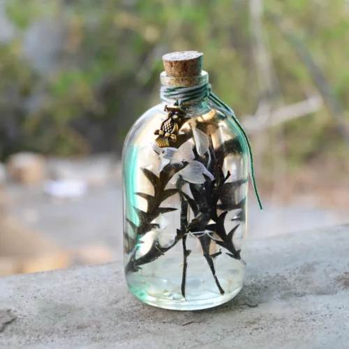 Sacramento Hooter Preserved Flower Tabletop