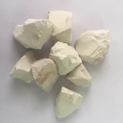 Diatomite Rocks 7 Diatomite Rocks -Plant Life Decor Shop 25 mm Diatomite