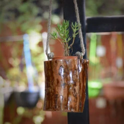 Tawny Dangle Hanging Planter