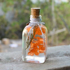 Tangerine Beaut Preserved Flower Tabletop -Plant Life Decor Shop 2 6f6bfda5 f8f9 4ebb b48b ec19c2c41b9d