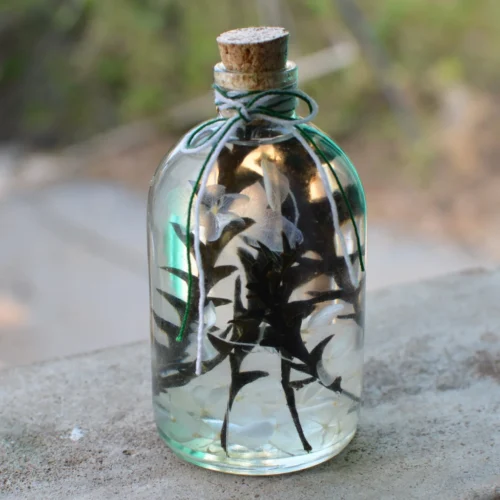 Sacramento Hooter Preserved Flower Tabletop 10 Sacramento Hooter Preserved Flower Tabletop -Plant Life Decor Shop 2 d44b0f4a 7761 4326 ac47 198be81faf62