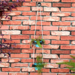 DIY - Tiered Hanging Pots -Plant Life Decor Shop 2 tier hanging 1