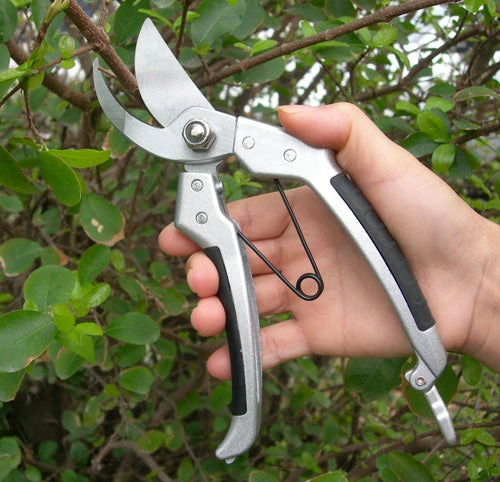 Professional Pruner Silver : Garden Tools 2 Professional Pruner Silver : Garden Tools - Image 2