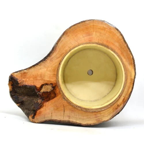 Umber Firkin Planter 8 Umber Firkin Planter -Plant Life Decor Shop 3 2