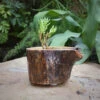 Umber Firkin Planter