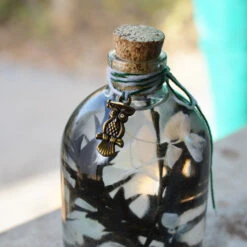 Sacramento Hooter Preserved Flower Tabletop -Plant Life Decor Shop 3 745a89c6 acf9 424a 8635 27983c276ae2