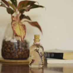 Notes In The Wild Preserved Flower Tabletop 14 Notes In The Wild Preserved Flower Tabletop -Plant Life Decor Shop 3 91081c2f 876f 4628 b88c 1d6bf8a34a9c