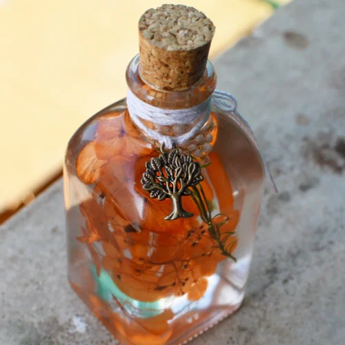 Tangerine Beaut Preserved Flower Tabletop -Plant Life Decor Shop 3 9c572b96 805e 4871 9150 be4a88e36b2a