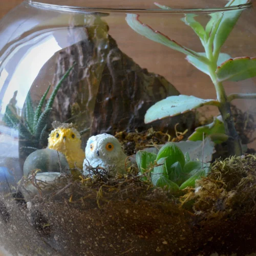 Starry Nights Terrarium Kit -Plant Life Decor Shop 4