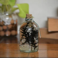 Sacramento Hooter Preserved Flower Tabletop -Plant Life Decor Shop 4 caf6d8a9 d875 430c bc50 a2c0daea9fb8