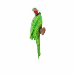 Green Parrot Sitting On Branch Decor -Plant Life Decor Shop 54 5b436caf fdb2 4675 8f16 3ace01fc7d3c