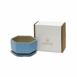 Meline Ceramic Planter -Plant Life Decor Shop 5 2d7833bc ce65 4230 a108 d5f91e19f1f0