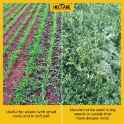 Hectare Hand Weeder With 8 Inch Blade (without Pole) -Plant Life Decor Shop 5 8165f3e3 34a4 4e24 be6d fd1cfa542881