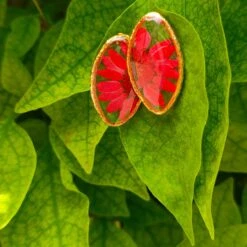 Tamed Flames Stud Real Dried Flower Earrings -Plant Life Decor Shop 5 c99fe301 3cb1 4cbd aa22 3ea2d2e71ff2