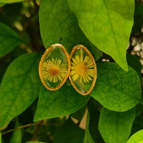 Embracing The Dawn Stud Real Dried Flower Earrings -Plant Life Decor Shop 5 f5bbd801 0049 4e38 b488 7f54750d12ad