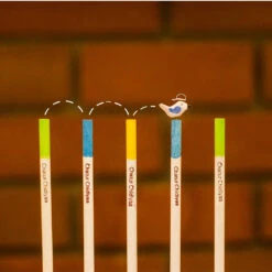 Terra Tweets - Birds