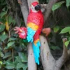 Multicolor Wall Parrot Resin Decor