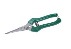 S.S Fruit Pruner Silver And Green By Wonderland 11 X 3.5 X 1 Inch Garden Tool -Plant Life Decor Shop 803S 4