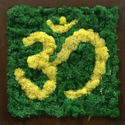 AUM Preserved Moss Frame With Dark Wood 13 AUM Preserved Moss Frame With Dark Wood -Plant Life Decor Shop AUM Yellow 4
