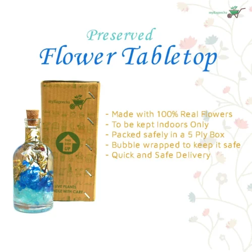 A Big Splash Preserved Flower Tabletop -Plant Life Decor Shop A Big Splash 8