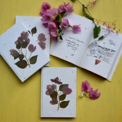 A Bougainvillea Memoir Pressed Flower Diary