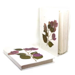 A Bougainvillea Memoir Pressed Flower Diary -Plant Life Decor Shop A Bougainvillea Memoir 4