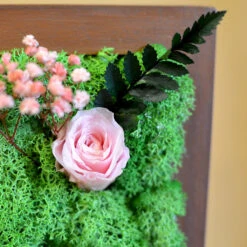 A Dainty Bloom In Pink Tabletop Preserved Moss Frame -Plant Life Decor Shop A Dainty Bloom in Pink 2