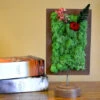 A Dainty Bloom In Red Tabletop Preserved Moss Frame