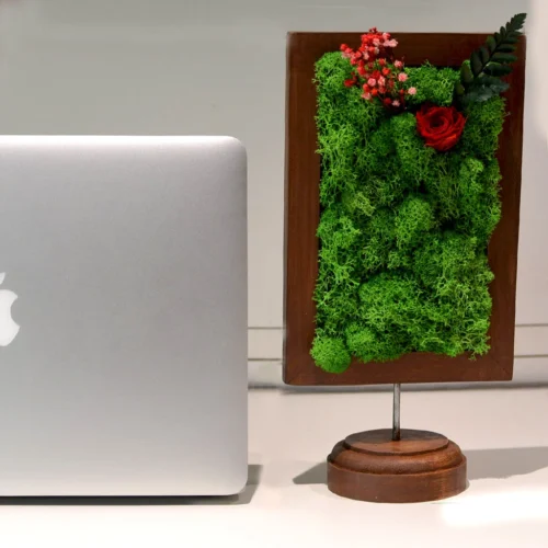 A Dainty Bloom In Red Tabletop Preserved Moss Frame 5 A Dainty Bloom In Red Tabletop Preserved Moss Frame -Plant Life Decor Shop A Dainty Bloom in Red 3