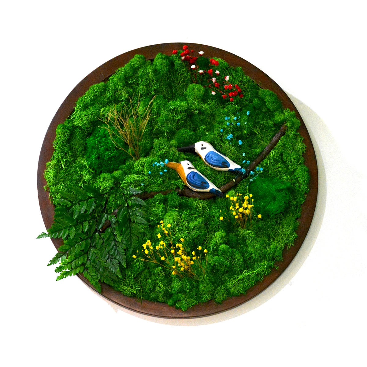 A Sapphire Tangle Preserved Moss Frame With Dark Wood 5 A Sapphire Tangle Preserved Moss Frame With Dark Wood - Image 5
