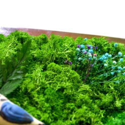 A Vivid Thicket Preserved Moss Frame With Dark Wood -Plant Life Decor Shop A Vivid Thicket 2