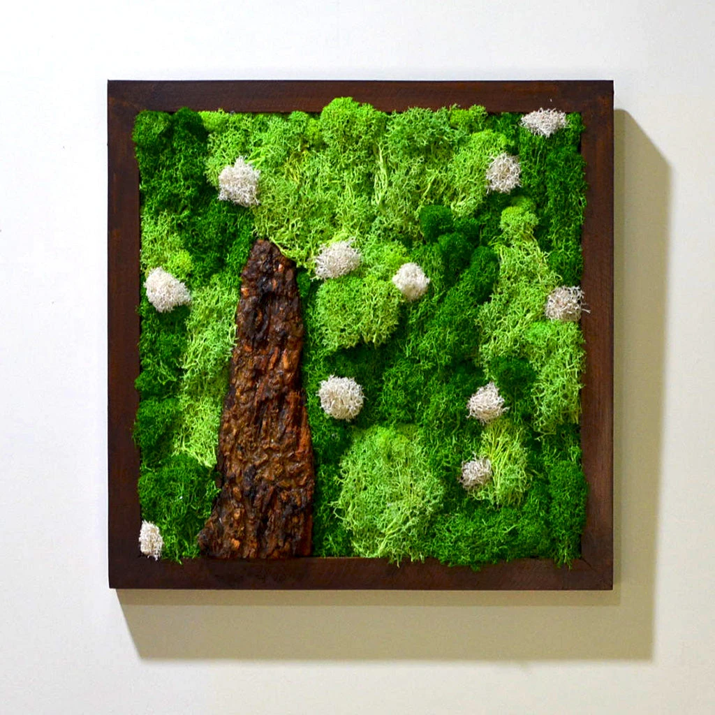 A Lichen Bog Preserved Moss Frame With Dark Wood 2 A Lichen Bog Preserved Moss Frame With Dark Wood - Image 2
