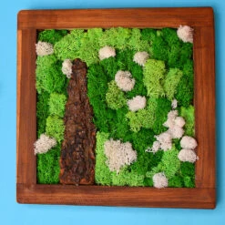 A Lichen Bog Preserved Moss Frame With Dark Wood 11 A Lichen Bog Preserved Moss Frame With Dark Wood -Plant Life Decor Shop A lichen bog 2