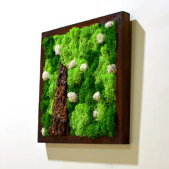 A Lichen Bog Preserved Moss Frame With Dark Wood 9 A Lichen Bog Preserved Moss Frame With Dark Wood -Plant Life Decor Shop A lichen bog 3 2318395b fe31 461b bc9c 6a226ab97f28