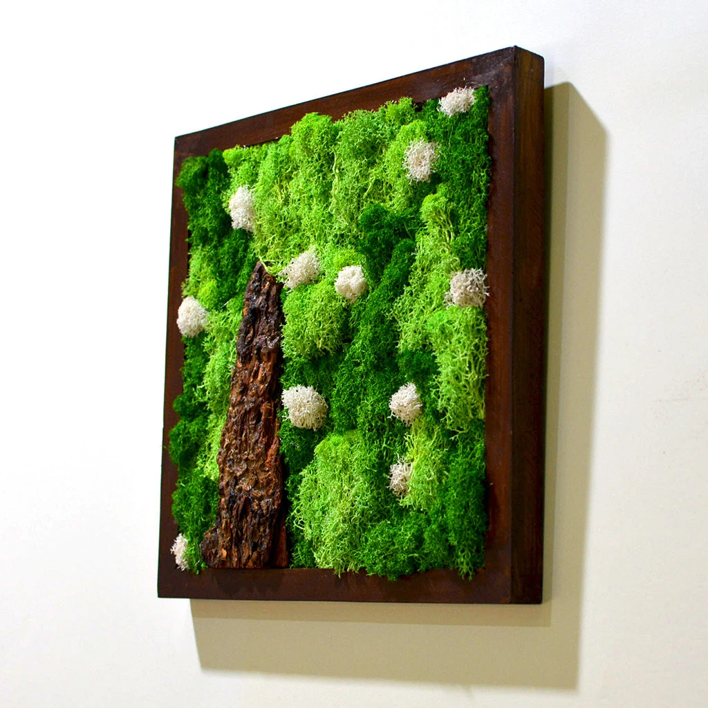 A Lichen Bog Preserved Moss Frame With Dark Wood 4 A Lichen Bog Preserved Moss Frame With Dark Wood - Image 4