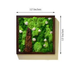 A Lichen Bog Preserved Moss Frame With Dark Wood 8 A Lichen Bog Preserved Moss Frame With Dark Wood -Plant Life Decor Shop A lichen bog 4