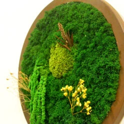 A Meridian Briar Preserved Moss Frame With Dark Wood -Plant Life Decor Shop A meridian briar new 2