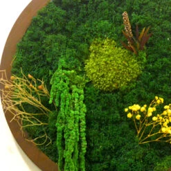 A Meridian Briar Preserved Moss Frame With Dark Wood -Plant Life Decor Shop A meridian briar new 3