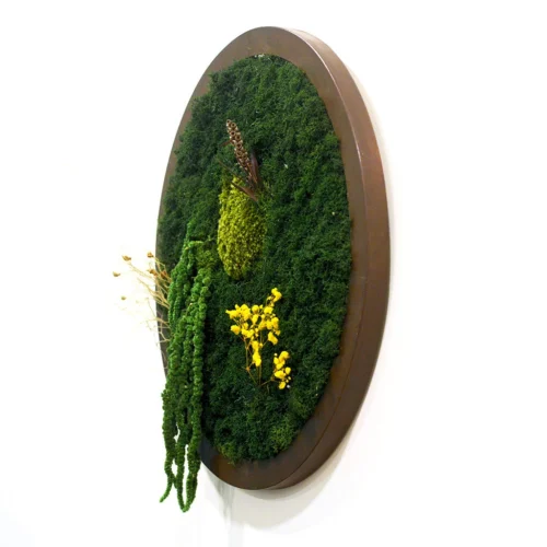 A Meridian Briar Preserved Moss Frame With Dark Wood -Plant Life Decor Shop A meridian briar new 4
