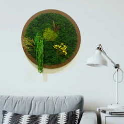 A Meridian Briar Preserved Moss Frame With Dark Wood