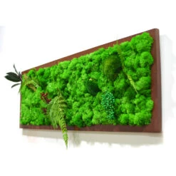 A Mystical Forest Preserved Moss Frame With Dark Wood -Plant Life Decor Shop A mystical forest 2