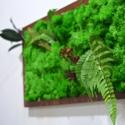 A Mystical Forest Preserved Moss Frame With Dark Wood -Plant Life Decor Shop A mystical forest 3