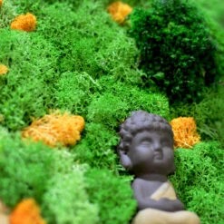 At A Standstill Preserved Moss Frame With Light Wood -Plant Life Decor Shop At a standstill 3