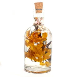 Baroque Carafe Preserved Flower Tabletop -Plant Life Decor Shop Baroque Carafe 6