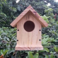 Bird Nest House - DIY Kit