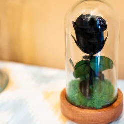 The Eternal Rose (Black) -Plant Life Decor Shop Black Rose 1
