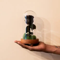 The Eternal Rose (Black) -Plant Life Decor Shop Black Rose 3