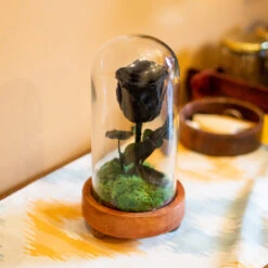 The Eternal Rose (Black)